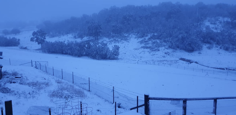 A farm in Bullio, 130km, southwest of Sydney, on Tuesday morning. Source: Facebook