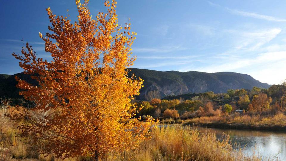 Autumn Colors in Taos, New Mexico