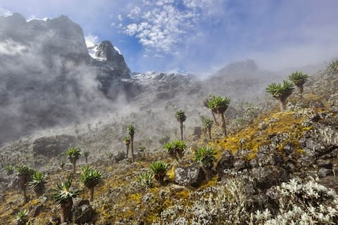 The Rwenzoris mountain range - Credit: GETTY