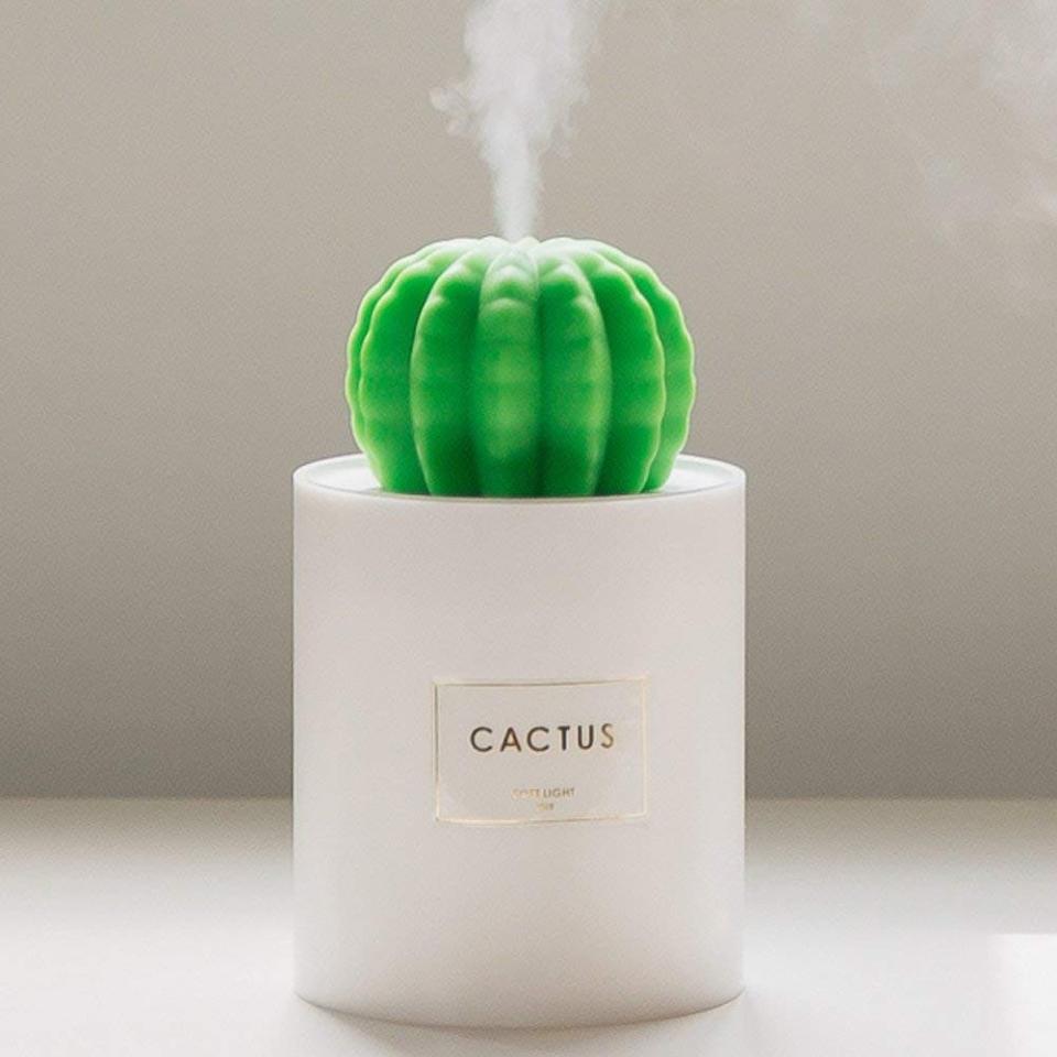 cactus humidifier and night light