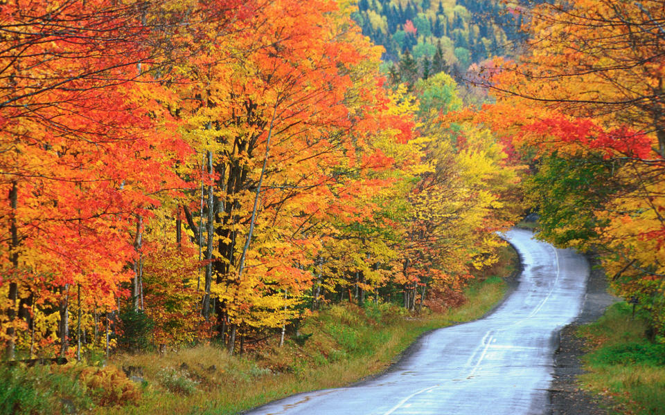 <h3>What to do:</h3> <p>The heart of the Rangeley Lakes region, the town of Rangeley is just 30 miles east of the New Hampshire border. Get on the water with the <a rel="nofollow noopener" href="http://www.rangeley-lakes.com/" target="_blank" data-ylk="slk:Rangeley Region Lakes Cruises & Kayaking;elm:context_link;itc:0;sec:content-canvas" class="link ">Rangeley Region Lakes Cruises & Kayaking</a> and out on the trails of nearby Bald and Saddleback mountains. Small Falls and Height of Land are both accessible by car and provide gorgeous views, from high and low. Remember to eat: <a rel="nofollow noopener" href="http://www.forksintheair.com/" target="_blank" data-ylk="slk:Forks in the Air;elm:context_link;itc:0;sec:content-canvas" class="link ">Forks in the Air</a> won’t disappoint.</p> <h3>Where to stay:</h3> <p>Downtown, the taxidermy and plaid-filled <a rel="nofollow noopener" href="http://www.therangeleyinn.com/" target="_blank" data-ylk="slk:Rangeley Inn & Tavern;elm:context_link;itc:0;sec:content-canvas" class="link ">Rangeley Inn & Tavern</a> continues a tradition of hospitality more than a century old. Just outside of Rangeley, the <a rel="nofollow noopener" href="http://www.highlandheathhouse.com/" target="_blank" data-ylk="slk:Highland Heath House;elm:context_link;itc:0;sec:content-canvas" class="link ">Highland Heath House</a> welcomes visitors in a log home located in an alpine meadow above the lake.</p>