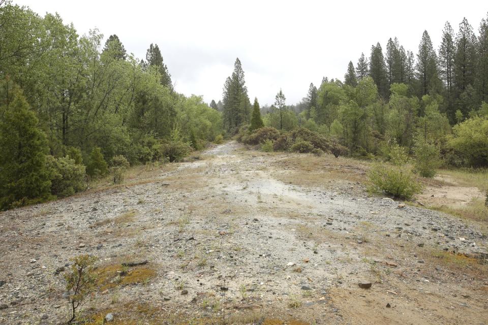 A dirt patch surrounded by trees and bushes