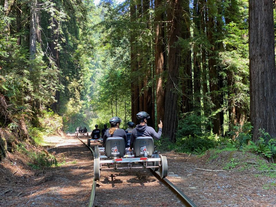 Railbikes make their way through a redwood forest 