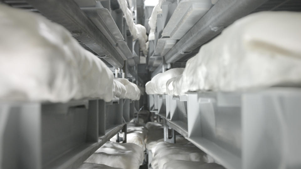 Image inside a mushroom-growing facility where Mylo is grown