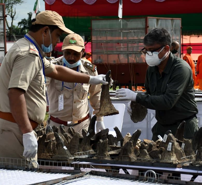 <div class="paragraphs"><p>Forest Department officials and police arrange rhino horns prior to the event</p></div>