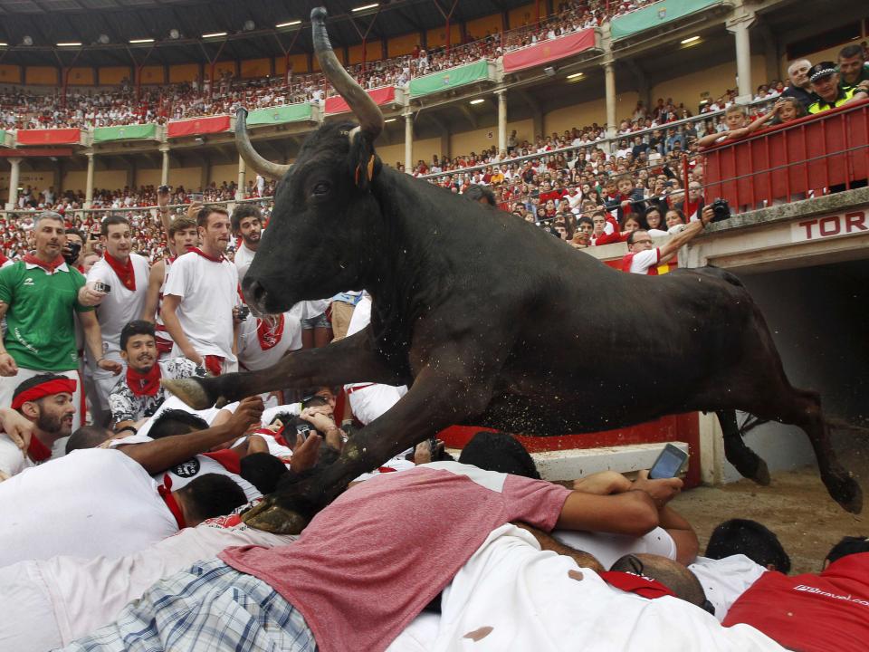 bulls pamplona spain