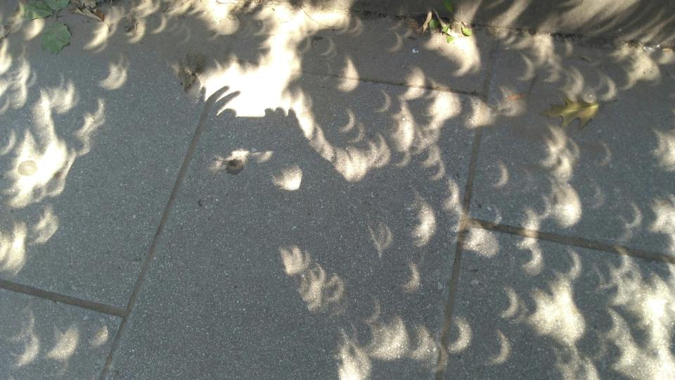 The shadow of a woman is reflected on the sidewalk as she takes a photo of the eclipse cast through tree leaves on the sidewalk August 21, 2017 in downtown Washington, DC.