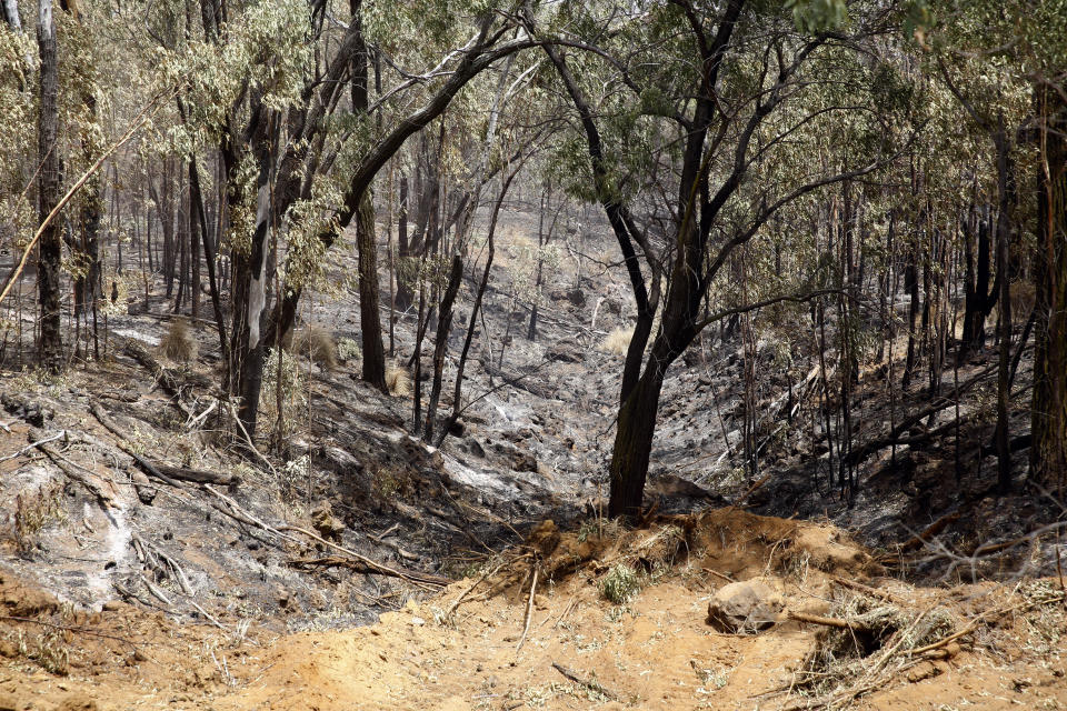 A dry creek bed is shown as wildfires burn in Waimea, Hawaii, on Thursday, Aug. 5, 2021. The region was scorched by the state's largest-ever wildfire. (AP Photo/Caleb Jones)