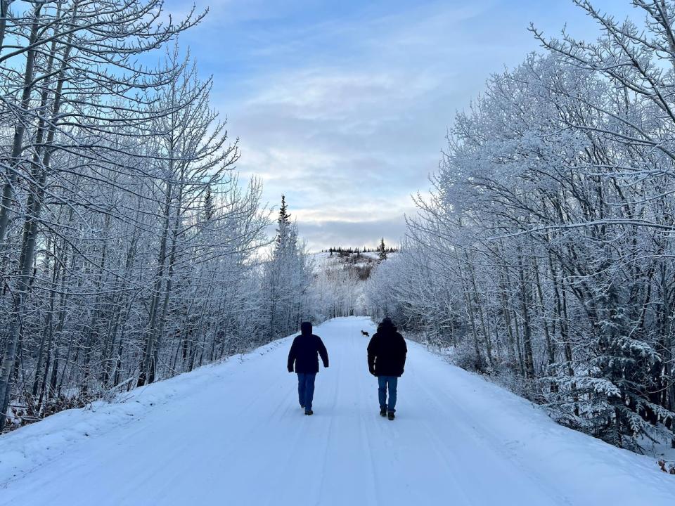 Aud Fischer and Chris Guppy walk a trail in the Ibex Valley, looking for hoof prints. They say Bolt's trail is easy to spot because he is dragging his leg. 