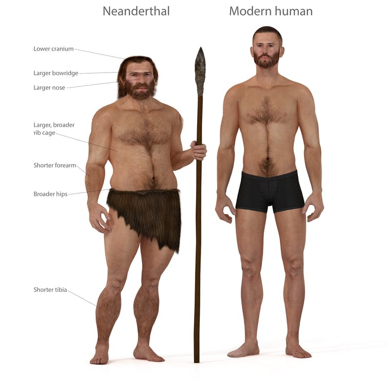 <span class="caption">Neanderthal versus human.</span> <span class="attribution"><span class="source">Nicolas Prim/Shutterstock</span></span>