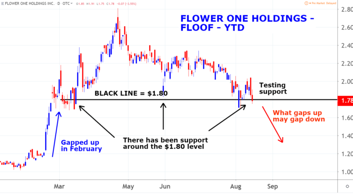 Flower One Holdings Inc (FLOOF) marijuana penny stocks