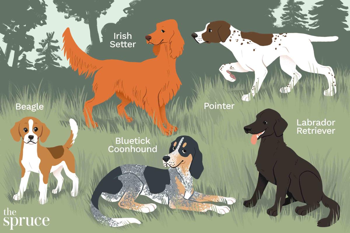 do gun dogs make good pets