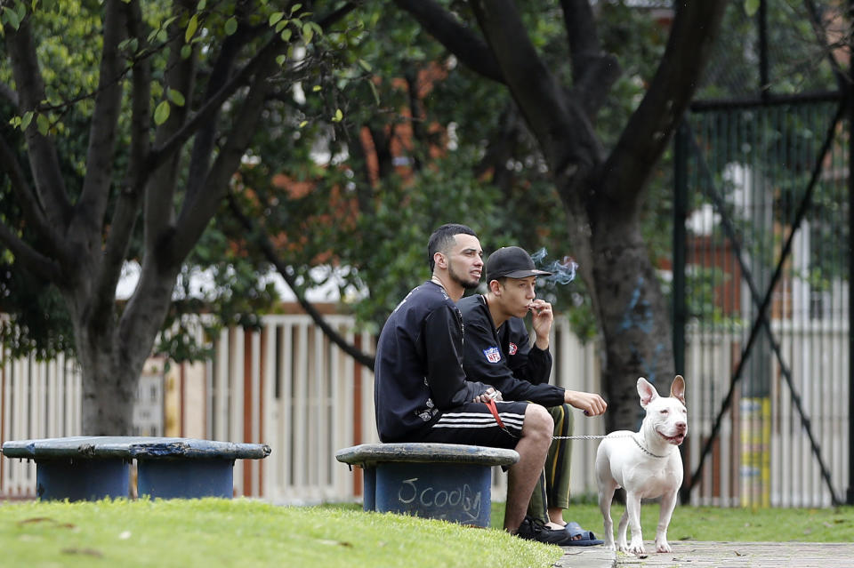 In this March 8, 2017 photo, youths with a pit bull dog smoke marijuana in a park in Bogota, Colombia. A new civil code applied throughout Colombia includes a list of potentially dangerous dogs and sets fines equal to the monthly minimum wage for owners who don't buy an insurance policy for any harm it might cause. Smoking marijuana in a public places is also fined in the new code. (AP Photo/Fernando Vergara)