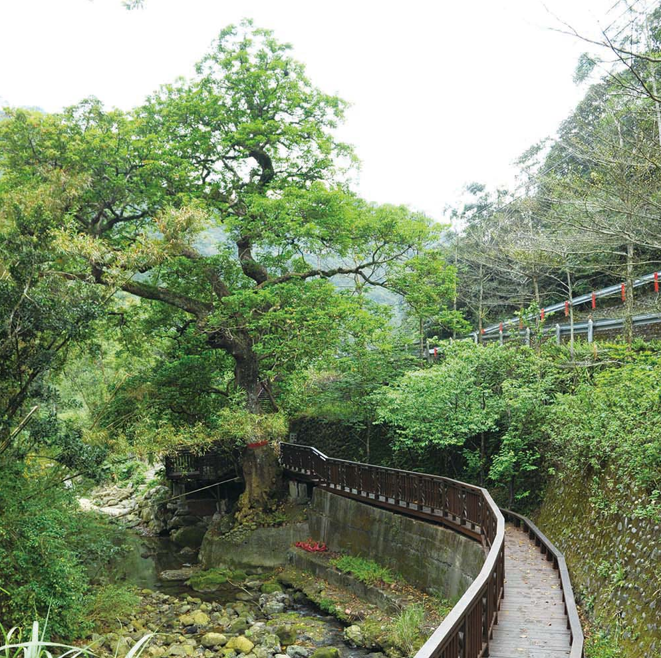 四寮溪步道（圖片來源：新竹縣旅遊網）