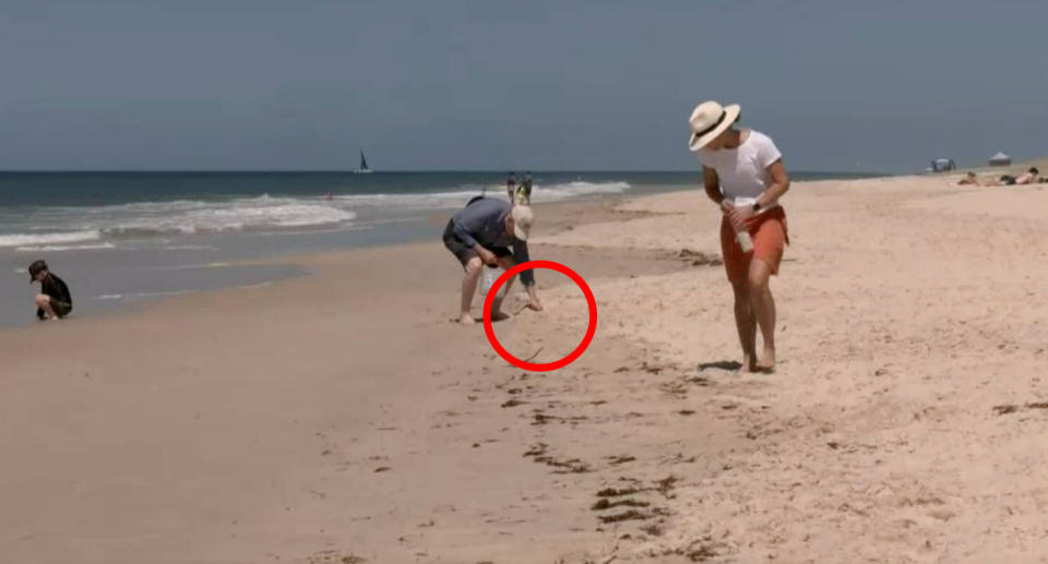 two people collect pieces of plastic off the beach