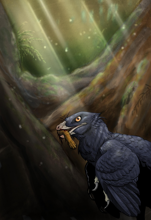 Artistic rendition of Microraptor zhaoianus.