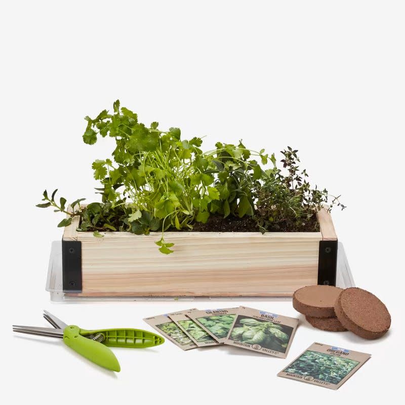 Grow Box