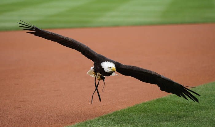 File Photo by Bill Greenblatt/UPI