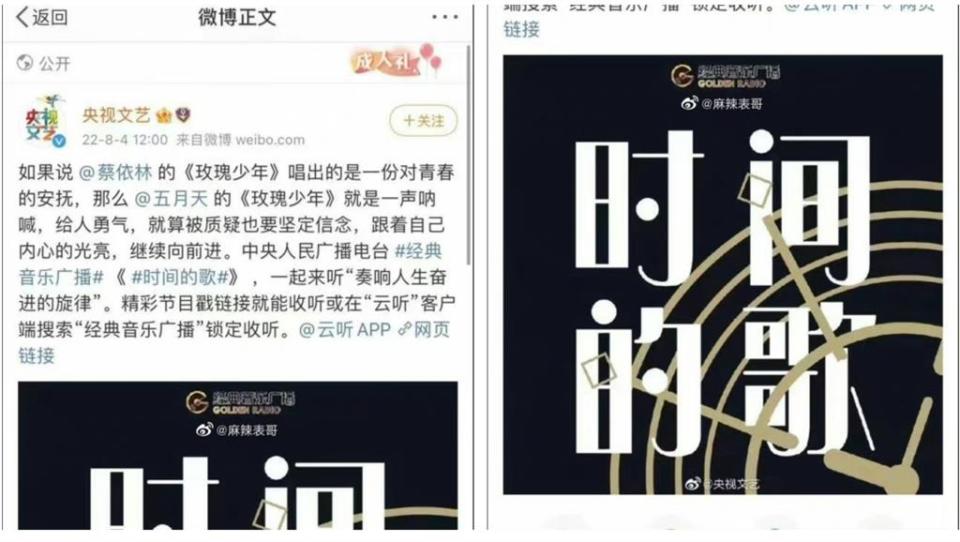 玻璃心碎了！蔡依林未表態微博「一夜掉粉30萬」　央視急下架推薦文