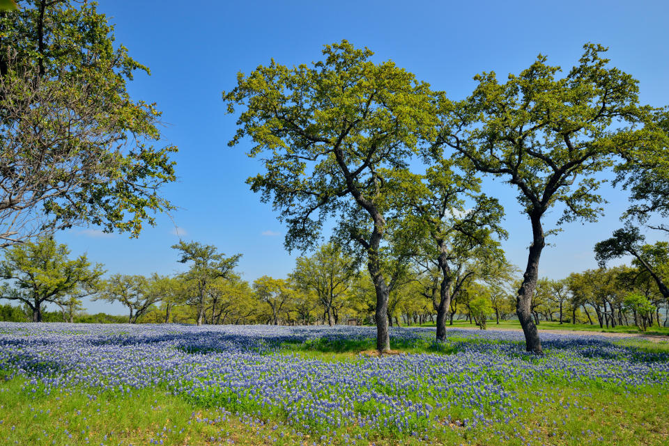 MARBLE FALLS