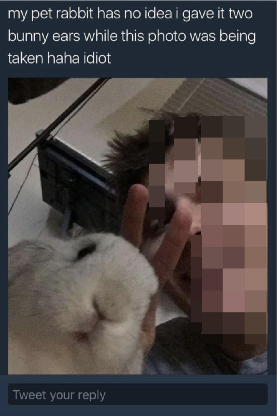 selfie of a guy putting up "bunny ears" peace sign behind his pet bunny