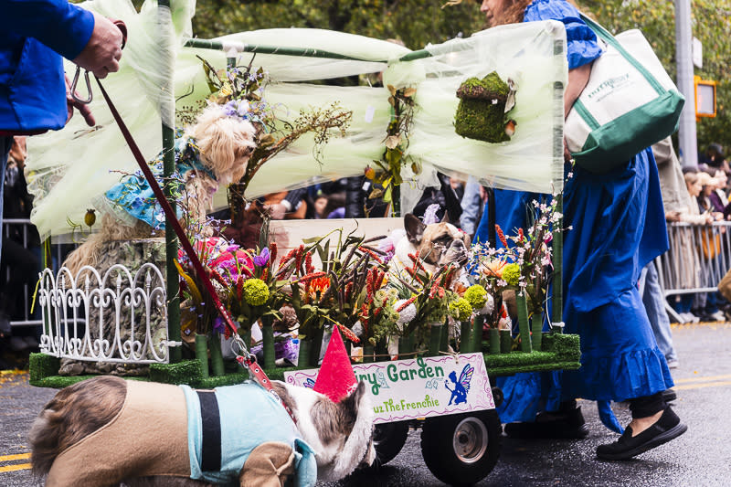 dogs placed in a fake garden as a Halloween costume