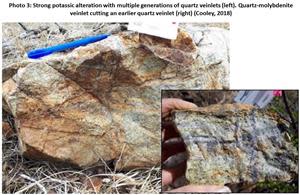 Strong potassic alteration with multiple generations of quartz veinlets (left). Quartz-molybdenite veinlet cutting an earlier quartz veinlet (right) (Cooley, 2018)