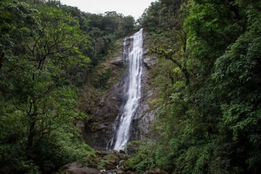A waterfall at Salto Morato Nature Reserve, in Guaraquecaba, in the southern state of Parana, Brazil, taken on October 23, 2012. Brazil's Salto Morato Nature Preserve is a haven for scientists studying the dwindling Atlantic rainforests