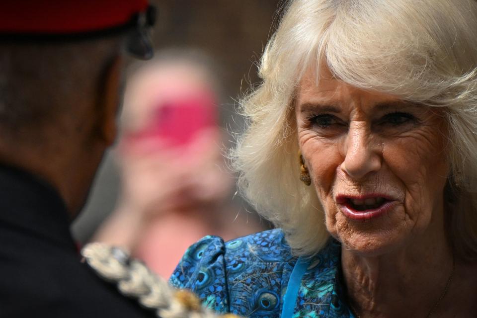 Queen Camilla (Justin Tallis/PA) (PA Wire)