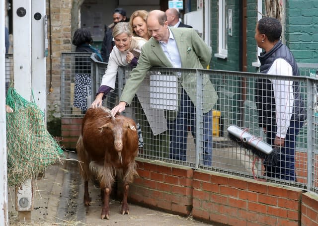 The Earl and Countess of Wessex will visit Vauxhall City Farm
