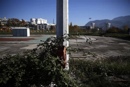 The derelict site of Zetra hall, the venue for the figure skating during the Winter Olympics in Sarajevo October 27, 2013. REUTERS/Dado Ruvic