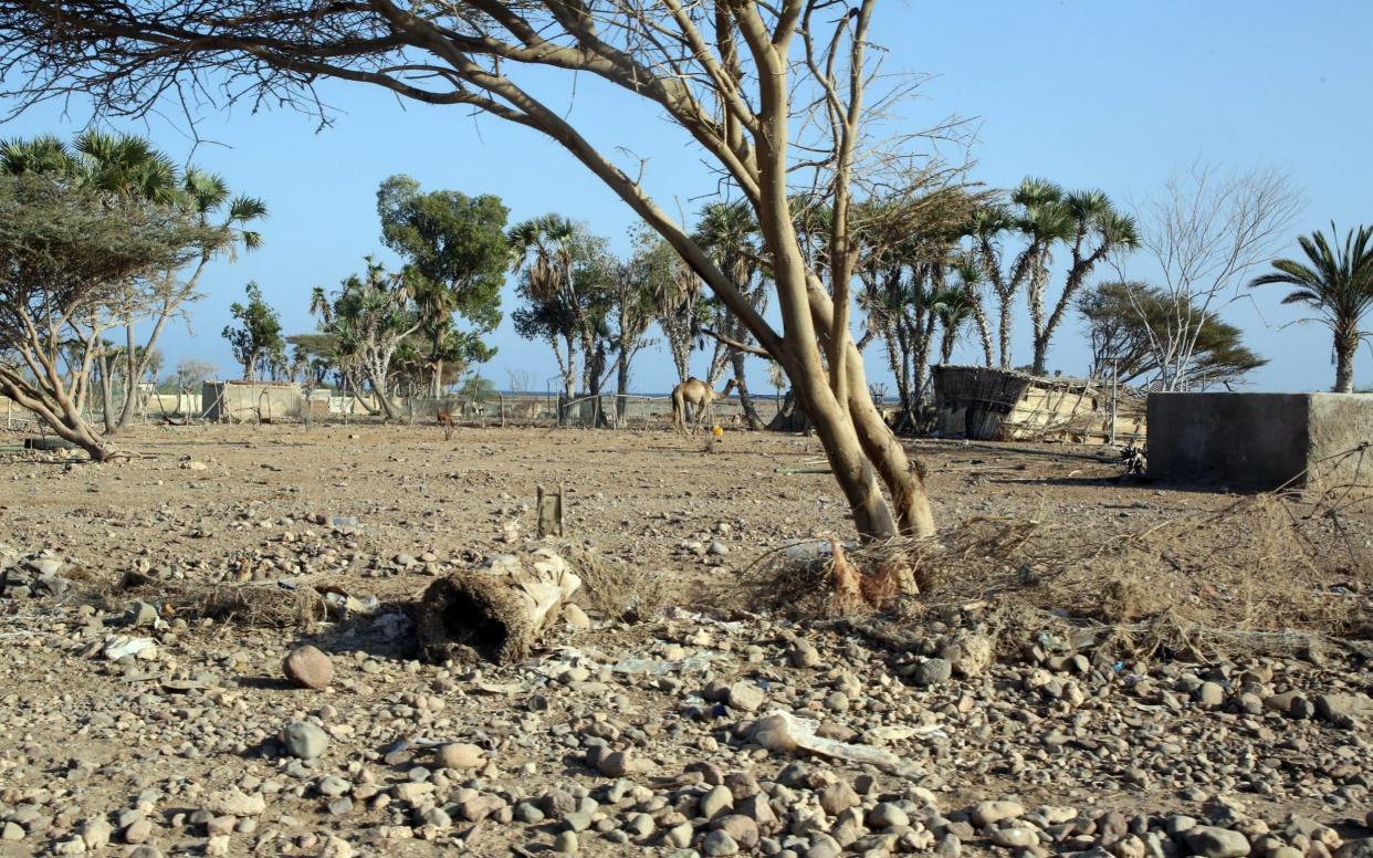 Djibouti's problem is the lack of water – it has dried up - susanschulman@mac.com
