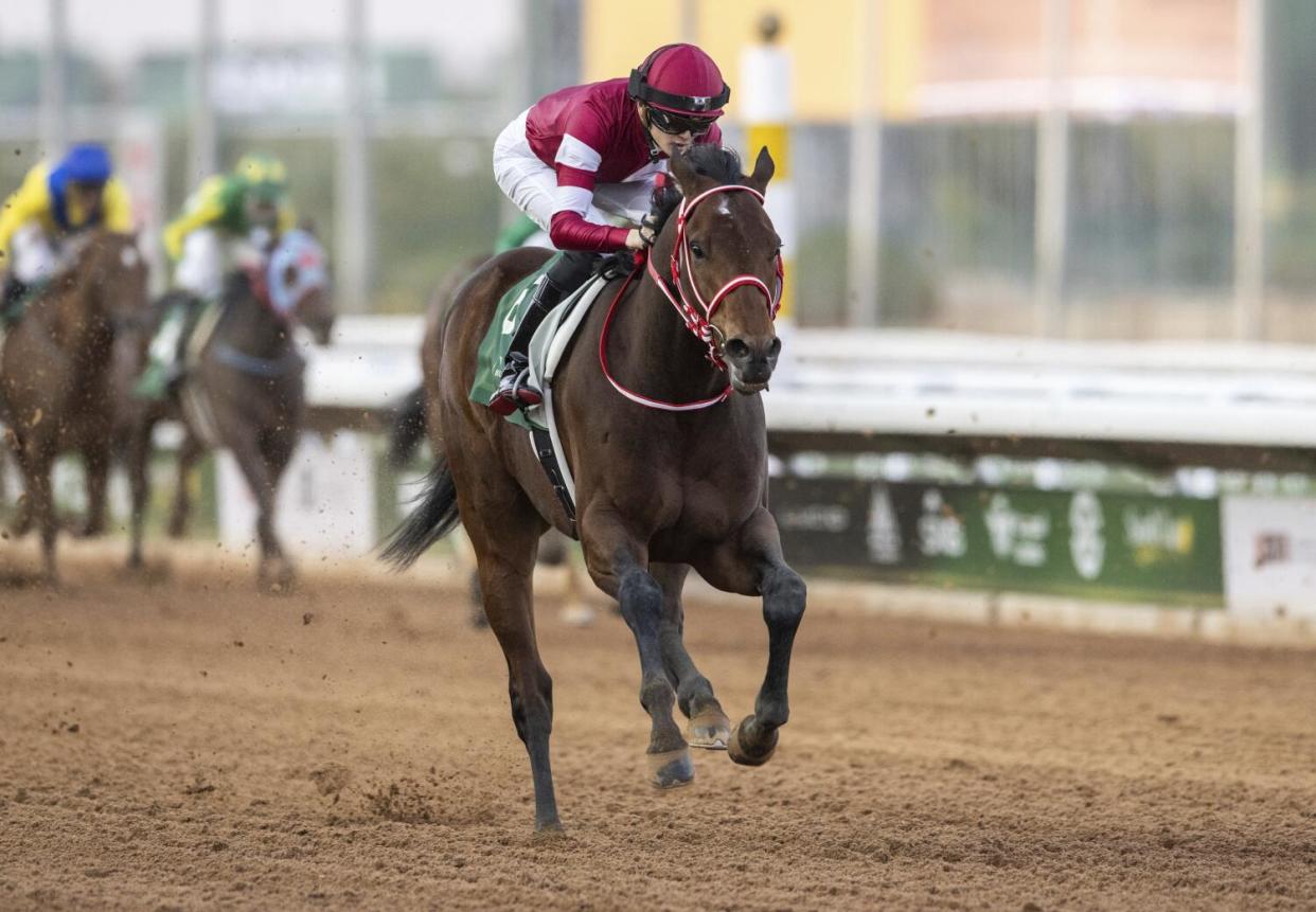 Jockey Ryusei Sakai guides Forever Young to victory in the Saudi Derby in February.