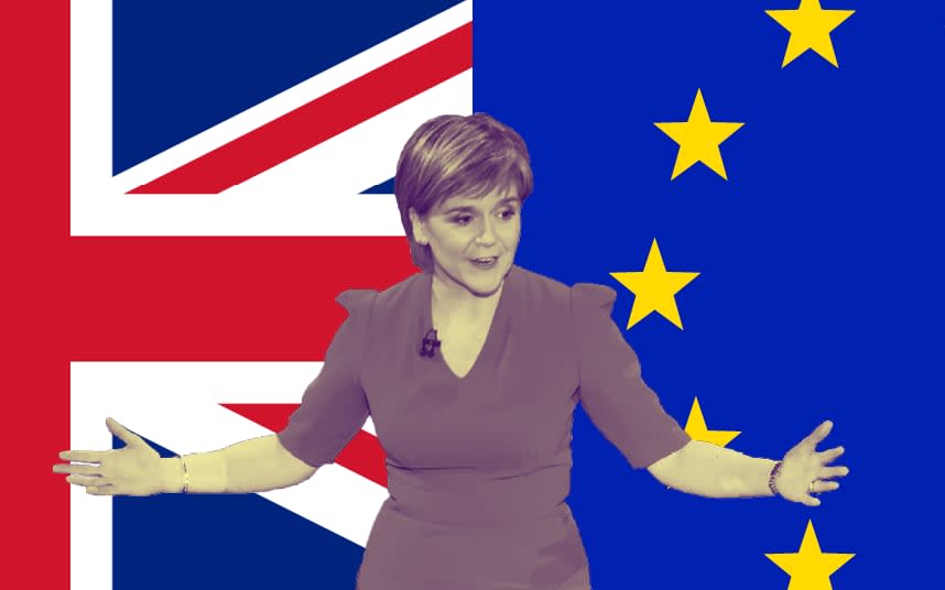 Nicola Sturgeon should listen to polling on Scottish independence 