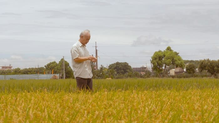 11月慶生精彩強檔連映　電影館邀市民同歡20週年