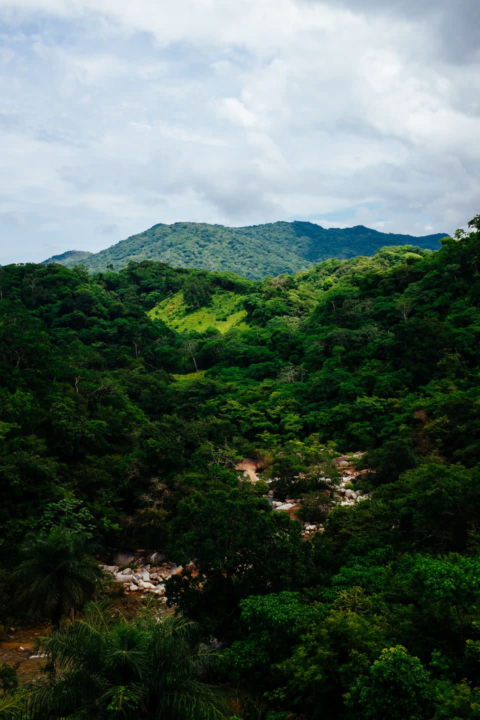 Jardín Botánico de Vallarta in Puerto Vallarta, Mexico