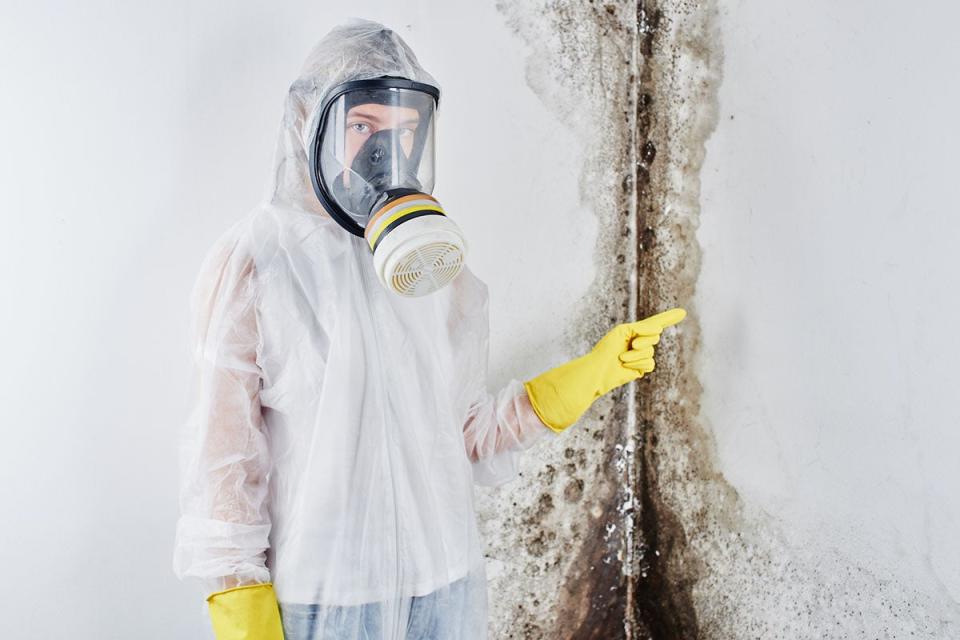 Mold Remediation Cost Questions