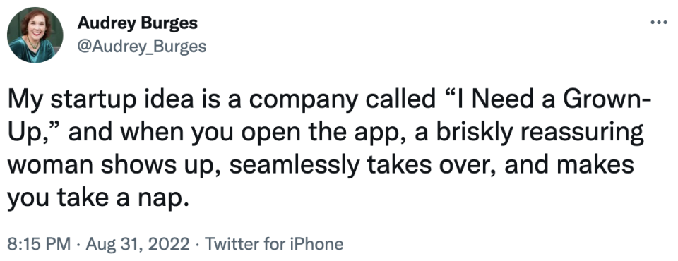 my startup idea is a company called, "i need a grown-up" and when you open the app, a briskly reassuring woman shows up, seamlessly takes over, and make you take a nap