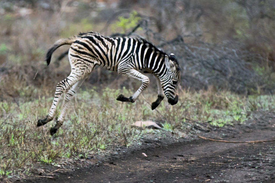 Jumping for joy