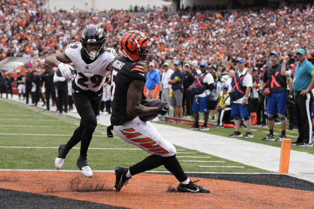 Tee Higgins, Lamar Jackson injury updates before Ravens vs. Bengals playoff  matchup