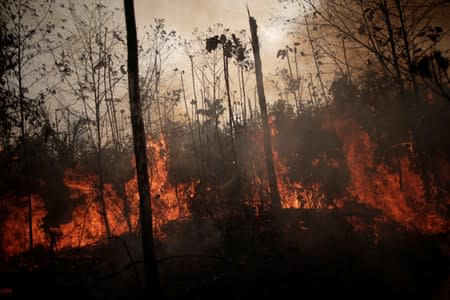 A burning tract of Amazon jungle is seen while as it is being cleared by loggers and farmers in Porto Velho