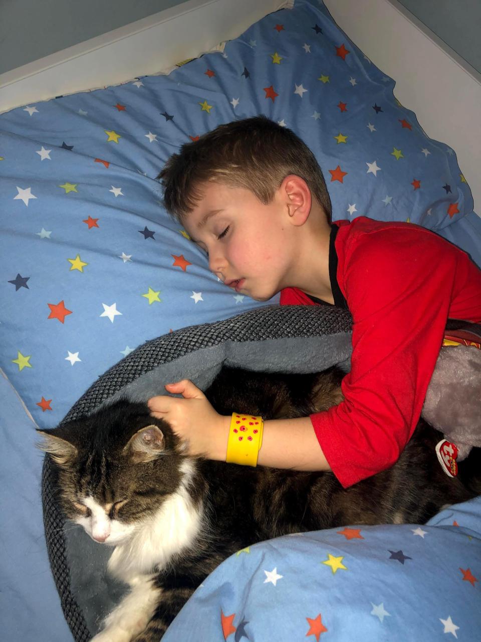 cat sleeping with kid