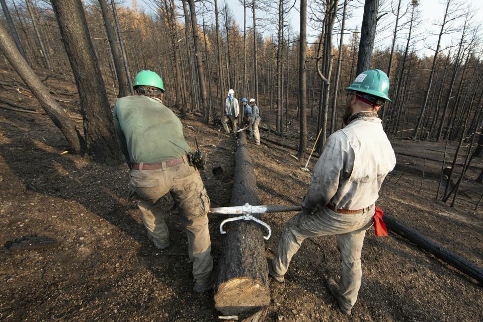 This undated photo provided by the Philmont Scout Ranch shows members of the Philmont Recovery Corps moving a log into place for a new contour along a charred slope. The historic ranch near Cimarron, New Mexico, is rebuilding following a devastating wildfire that burned nearly 44 square miles in 2018. Backcountry trails were wiped out along with trail camps. (Philmont Scout Ranch via AP)