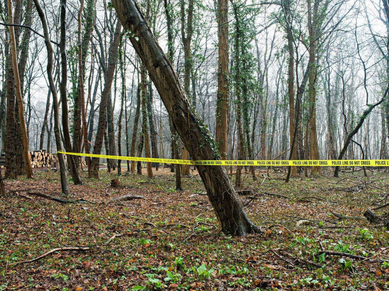 Crime scene tape in the woods