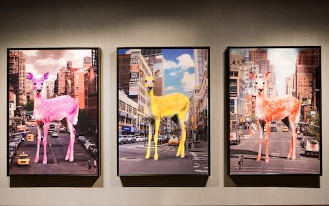 Bambi series by Paco Raphae on Holland America's Koningsdam - Credit: Michael Vendure/Holland America