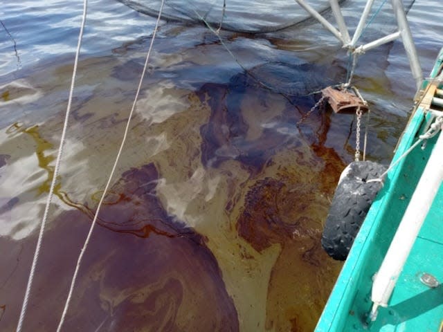 Oil floats on the surface of waters near Lake Barre beside a shrimp boat operated by John Sophin on Tuesday, Aug. 9, 2022.