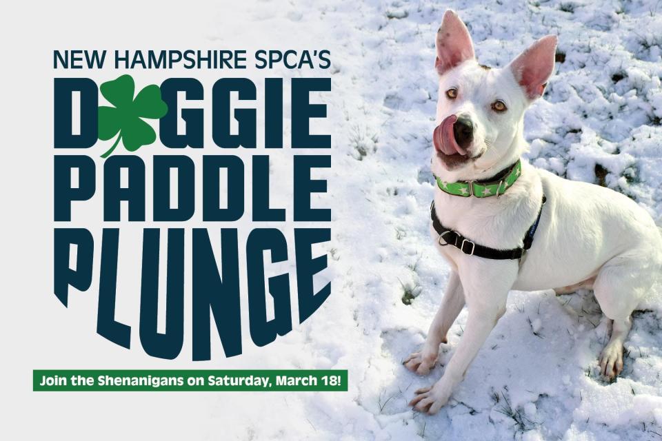 New Hampshire SPCA's Doggie Paddle Plunge will take place on Saturday, March 18, 2023 at Great Island Common in New Castle, N.H.