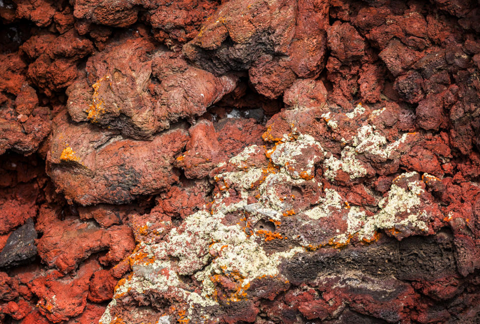 Lichen can be seen on spatter cones at Idaho's Craters of the Moon National Monument and Preserve near Arco
