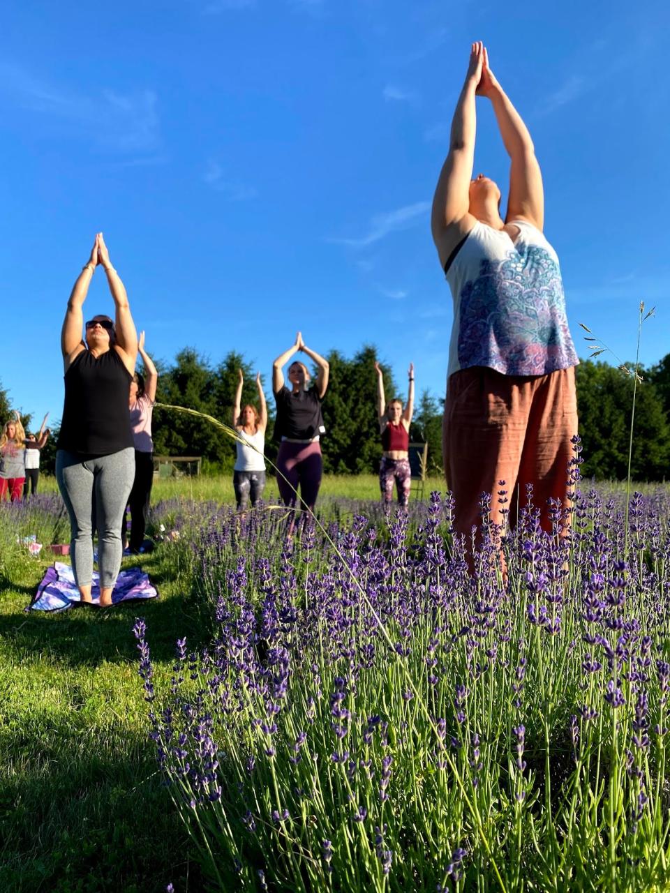 A yoga class at Mad Lavender Farm hosted by Wildflower Yoga Collective.