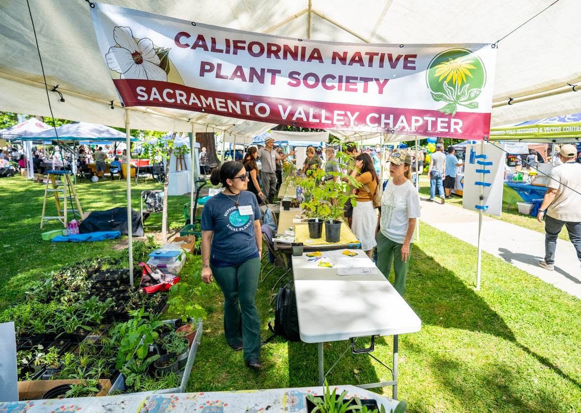 The California Native Plant Society booth allows visitors to learn more about plant life in California on Sunday.